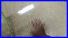 Janitorial_Cleaning_Spray_Buffing_Vct_Floor_Louisville_Kentucky_01_dxsq
