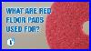 What_Is_A_Red_Floor_Pad_Used_For_The_Best_Pad_For_Daily_Cleaning_Explained_01_cgl