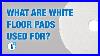 What_Is_A_White_Floor_Pad_Used_For_The_Best_Pads_For_Spray_Buffing_U0026_Shine_01_gw
